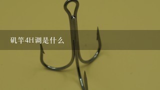 矶竿4H调是什么