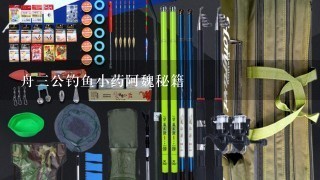 舟3公钓鱼小药阿魏秘籍