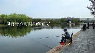 初夏什么时间钓鲫鱼好