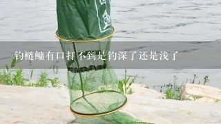 钓鲢鳙有口打不到是钓深了还是浅了