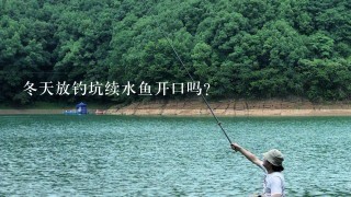 冬天放钓坑续水鱼开口吗？