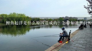 鲤鱼起浮是什么原因造成的？怎样知道黑坑所放的鱼是