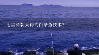 7星漂朝天钩钓白条鱼技术？