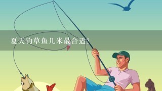 夏天钓草鱼几米最合适？