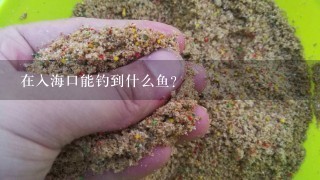 在入海口能钓到什么鱼？