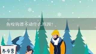 鱼咬钩漂不动什么原因？