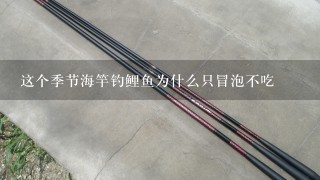 这个季节海竿钓鲤鱼为什么只冒泡不吃