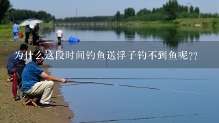 为什么这段时间钓鱼送浮子钓不到鱼呢??