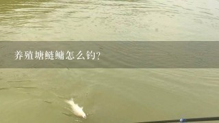 养殖塘鲢鳙怎么钓？