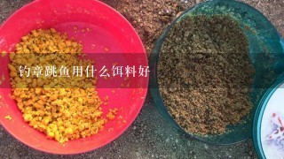 钓章跳鱼用什么饵料好