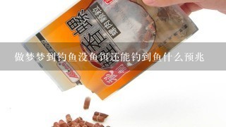 做梦梦到钓鱼没鱼饵还能钓到鱼什么预兆