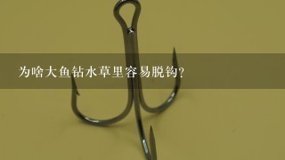 为啥大鱼钻水草里容易脱钩?