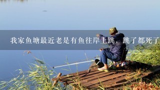 我家鱼塘最近老是有鱼往岸上跳，跳了都死了。是什么原因啊，