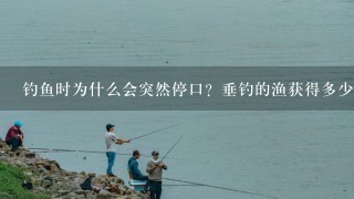 钓鱼时为什么会突然停口？垂钓的渔获得多少，是否跟