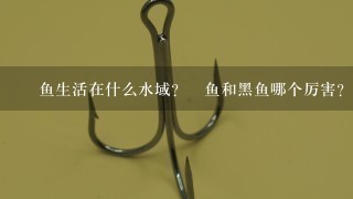 鳡鱼生活在什么水域？鳡鱼和黑鱼哪个厉害？