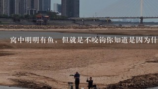 窝中明明有鱼，但就是不咬钩你知道是因为什么原因吗