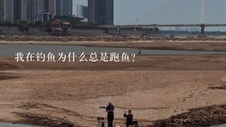 我在钓鱼为什么总是跑鱼？