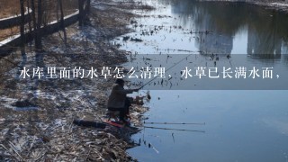 水库里面的水草怎么清理，水草已长满水面，1种很长