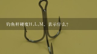 钓鱼杆硬度H,L,M。表示什么？