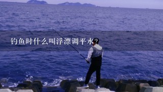 钓鱼时什么叫浮漂调平水？