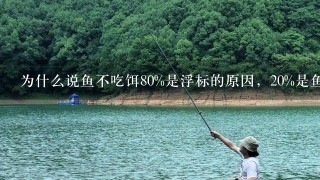 为什么说鱼不吃饵80%是浮标的原因，20%是鱼饵的原因？