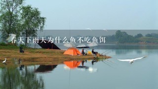 春天下雨天为什么鱼不吃鱼饵