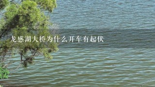 龙感湖大桥为什么开车有起伏