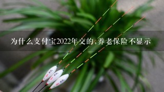 为什么支付宝2022年交的,养老保险不显示