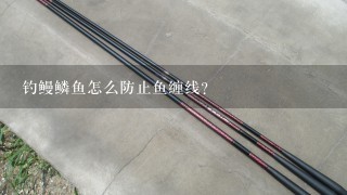 钓鳗鳞鱼怎么防止鱼缠线？