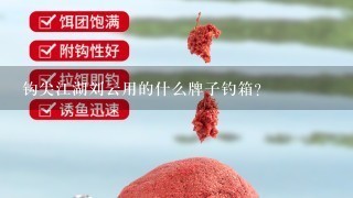 钩尖江湖刘云用的什么牌子钓箱？