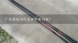 广东黑坑为什么中午难钓鱼？