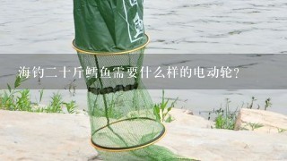 海钓2十斤鳕鱼需要什么样的电动轮？