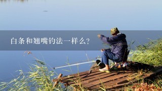 白条和翘嘴钓法1样么？