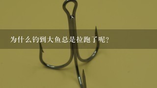 为什么钓到大鱼总是拉跑了呢？