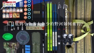 5月底到小鱼多大鱼少的野河如何垂钓？