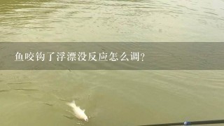 鱼咬钩了浮漂没反应怎么调？