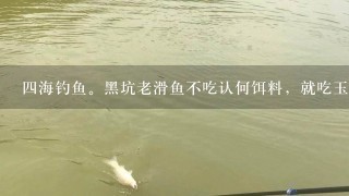 4海钓鱼。黑坑老滑鱼不吃认何饵料，就吃玉米为什么？