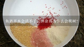 鱼离开水会活不了，弹涂鱼为什么会爬树？