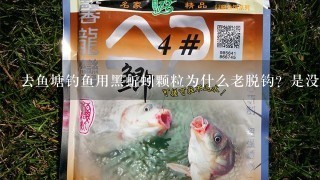 去鱼塘钓鱼用黑蚯蚓颗粒为什么老脱钩？是没吃正口还是怎么了？今天脱钩10几次了，求高手速解