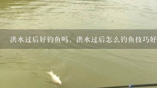 洪水过后好钓鱼吗，洪水过后怎么钓鱼技巧好不好？