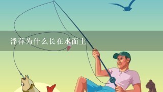 浮萍为什么长在水面上