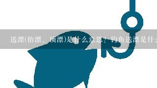 送漂(抬漂、顶漂)是什么意思？钓鱼送漂是什么原因？