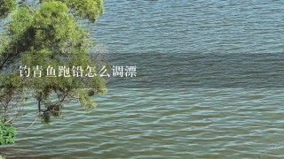 钓青鱼跑铅怎么调漂