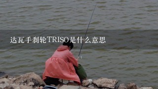 达瓦手刹轮TRISO是什么意思