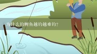 为什么钓鲤鱼越钓越难钓？