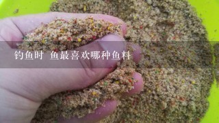 钓鱼时 鱼最喜欢哪种鱼料