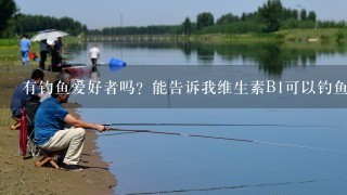 有钓鱼爱好者吗？能告诉我维生素B1可以钓鱼吗？谢谢