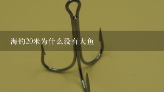 海钓20米为什么没有大鱼