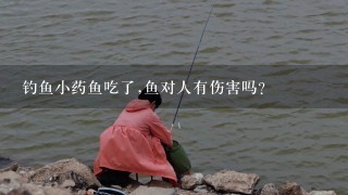 钓鱼小药鱼吃了,鱼对人有伤害吗？