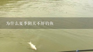 为什么夏季阴天不好钓鱼